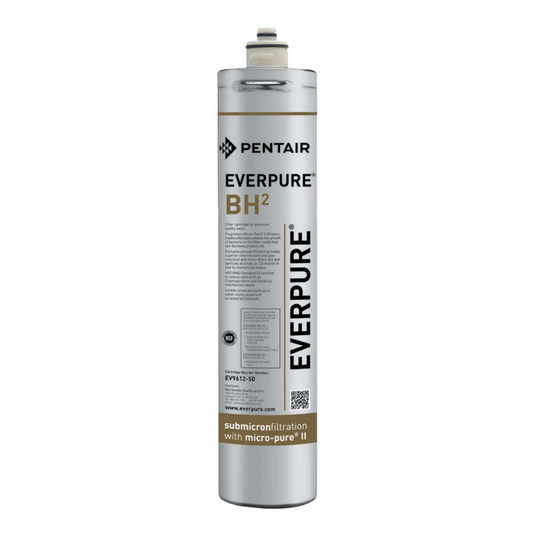 Everpure BH2 replacement water filter cartridge for coffee brewers