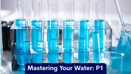 Part 1: Assess Your Water
