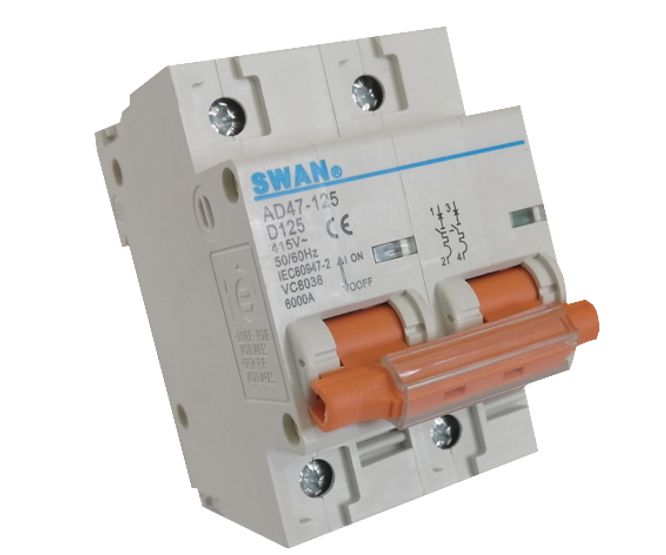 Swan Electric 2P 6kA D-curve MCB circuit breaker