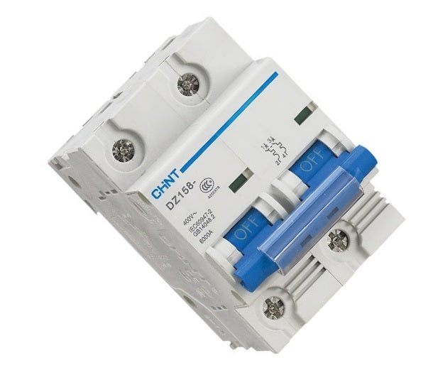 Chint Mini DIN Rail Circuit Breaker 2P 100A 6kA C-Curve