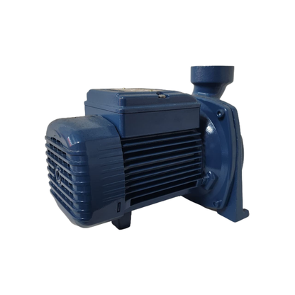 Pedrollo | Centrifugal Pump